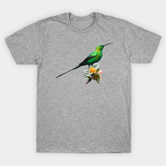 Malachite Sunbird Male in Metallic Green Breeding Plumage T-Shirt by scotch